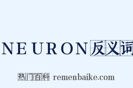 NEURON反义词是什么意思的图片